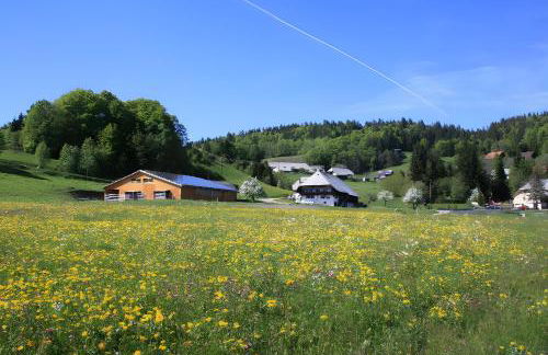 Bürschtehanse-Hof - Foto 2