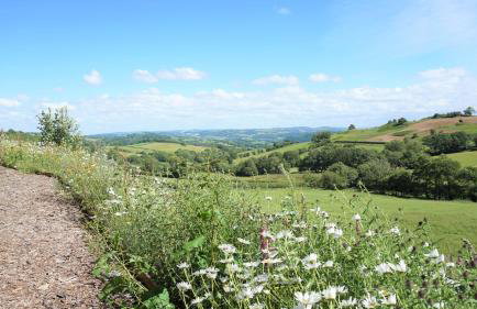 Shepherd's Watch Cottage - 5* Cyfie Farm with private hot tub - Foto 6