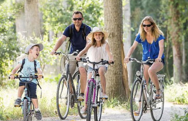 Les Pénates de Loire - Foto 46