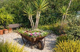 dream tiny house & luxury tent - Foto 6