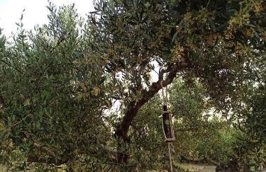 Kypseli studio rhodes - Photo 29