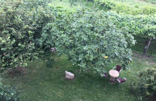 Casa Hipólito - Foto 48