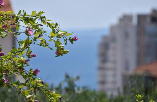 Apartment Neyra - Foto 11