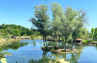 COMBI HOUSE - Foto 36