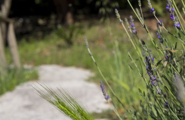 Agriturismo Tarantola - Foto 52