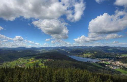 Romantic Style Apartment Titisee - Foto 40