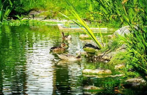 Landhaus am Schlosspark FeWo 4 - Foto 30