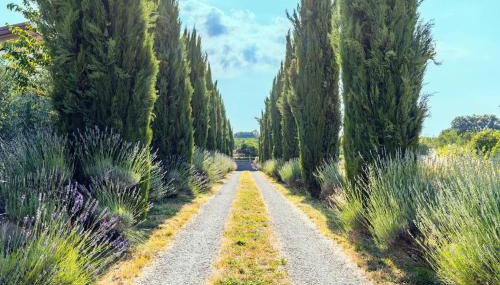 Flat In Hamlet Near Arezzo - Foto 4