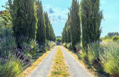 Flat In Hamlet Near Arezzo - Photo 4