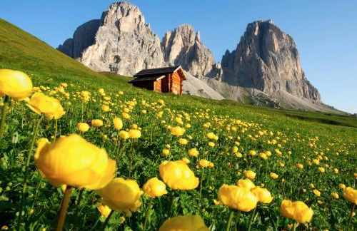 Apartment Carmen-1 by Interhome - Foto 34