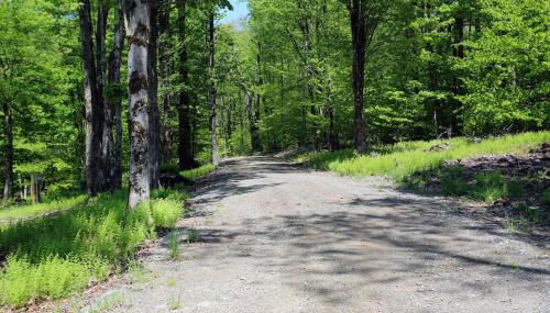 Oneonta Hideaway - Foto 5