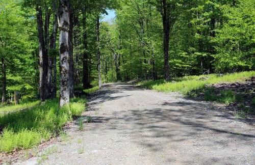 Oneonta Hideaway - Foto 5