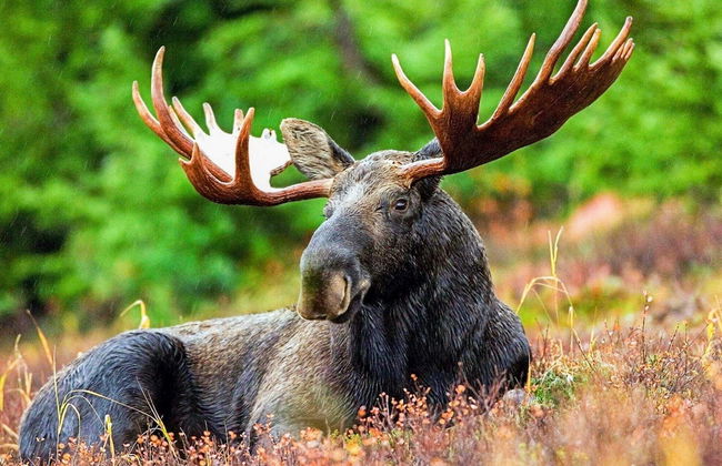 4 Person Holiday Home in Braas-by Traum - Foto 1