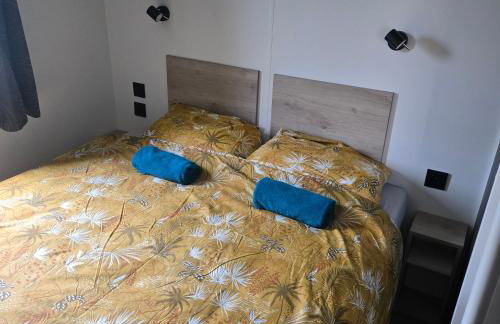 Mobil-home les pieds dans l'eau camping LES DUNES 5"'" - Foto 7