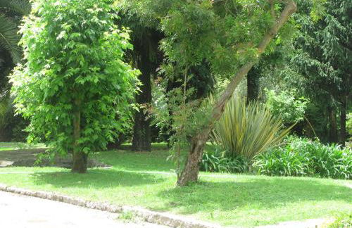 No Meio da Natureza - Turismo No Espaco Rural - Foto 25