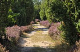 Ferienhaus Klinger - Photo 23