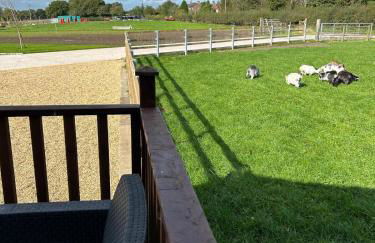 The Lodge - Photo 27