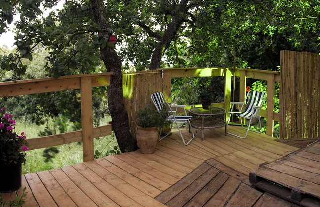 Yurt Located in a Little oak Grove - Foto 8