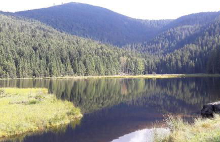 Ferienwohnung Panoramablick 1 - Foto 19