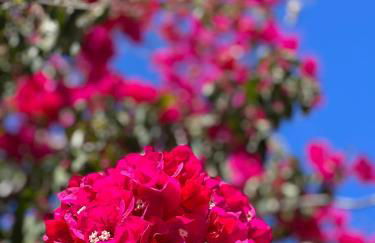 Apartments in exclusive Beachvilla - Foto 7