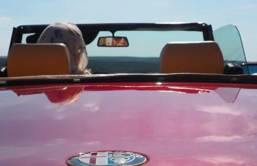 Monte Chalaça - Turismo Rural - Foto 36