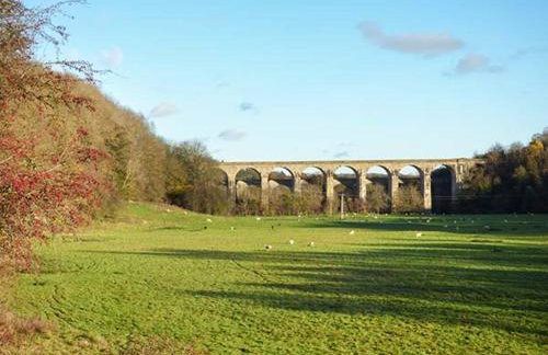 Little Cow House - Foto 30