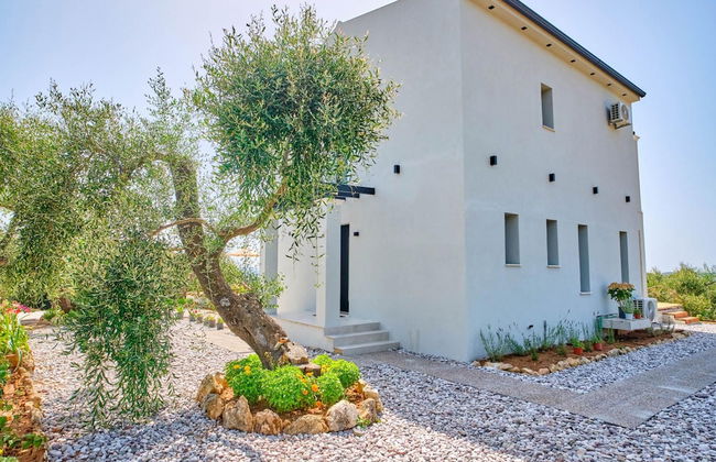 Olivista in Platonas - Foto 48