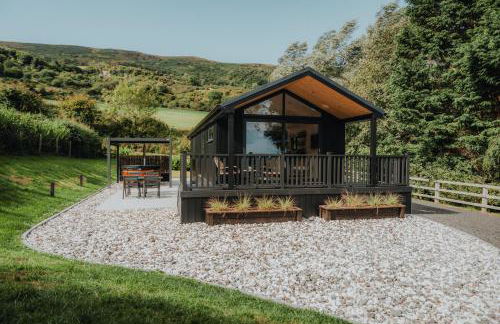 Briarfield Farm Stays - Coillte Cabin - Foto 1