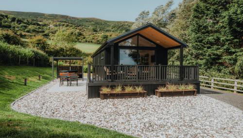 Briarfield Farm Stays - Coillte Cabin - Foto 1