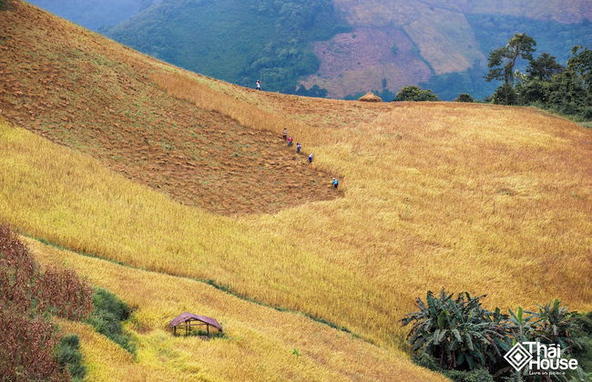 Thai House Pu Luong - Foto 66