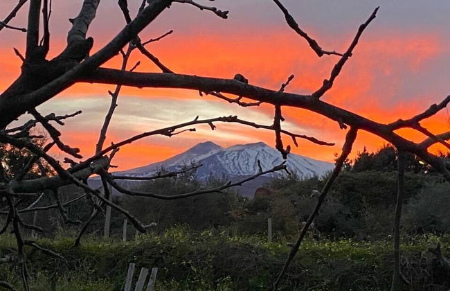 Agriturismo Etna-Mare - Photo 42