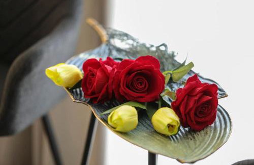 PLAZA ELEGANT SUITE center - Foto 19