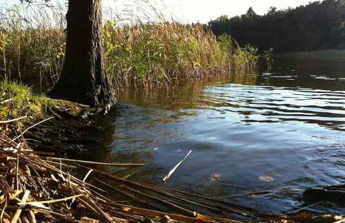 Romantisches Studio am Waldesrand mit Gartensauna - Foto 59