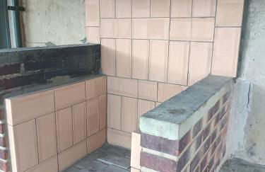 Mi Limón mi limonero - Foto 44