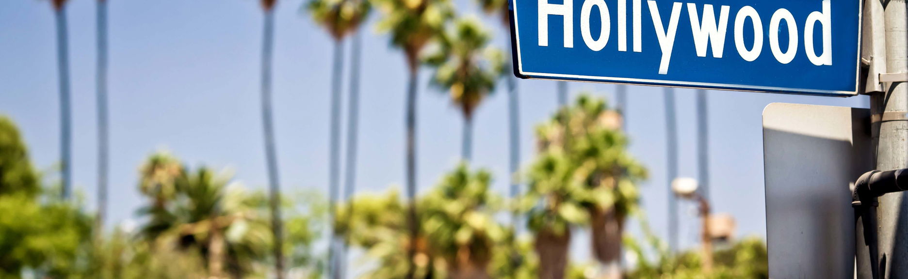 Tour in LA - Photo 1