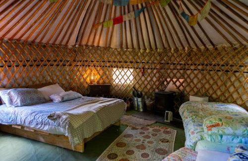 Hapus Yurt - Two Beautiful Yurts and Barn Cottage - Foto 13