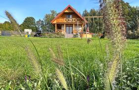 Czapla i Żuraw - Foto 34