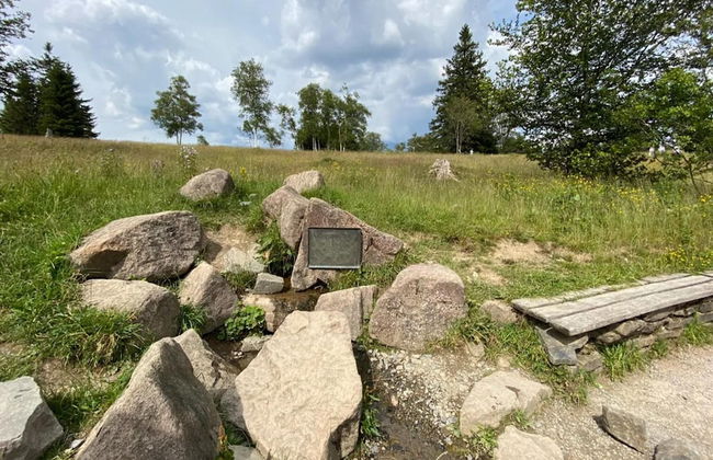 Gemutliches Apartment in Winterberg mit Balkon - Foto 29