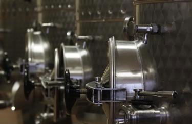 AZIENDA AGRICOLA CA' LUNGA - Foto 31