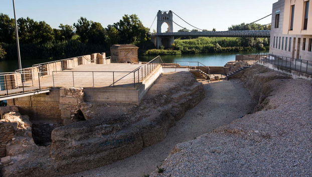 Tour in Amposta - Photo 5