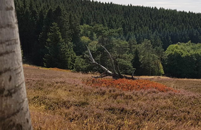 A-frame House in Dreislar Near Ski Slopes - Foto 33