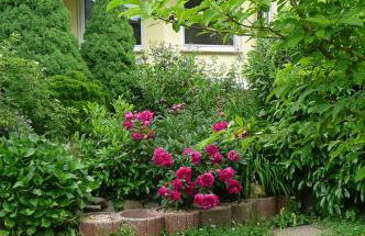 Ferienwohnung Sayn bei Koblenz - Foto 23