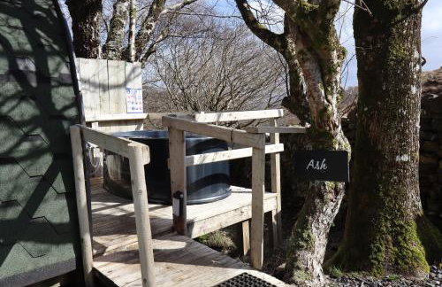 Ash Cabin with Hot Tub - Foto 34