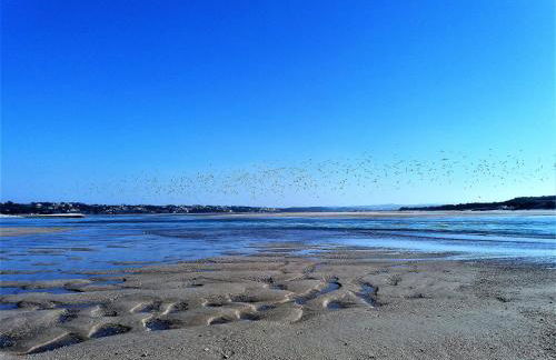 Água Rocha - Foto 28