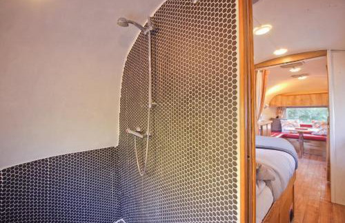 Vintage glamping Airstream with Farm Animals - Foto 10