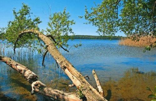 "Blaues Haus am See mit Boot" - Foto 18