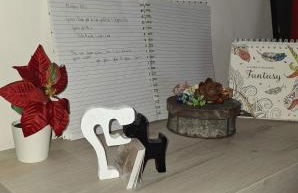 Friendly Home 3 trilocale - Foto 7