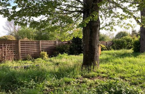 La Petite Caravelle 2 pièces sur jardin - Foto 24