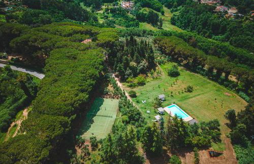 Fattoria Laviosa - Foto 10