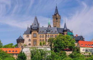 FeWo Am alten Holzplatz - Foto 26